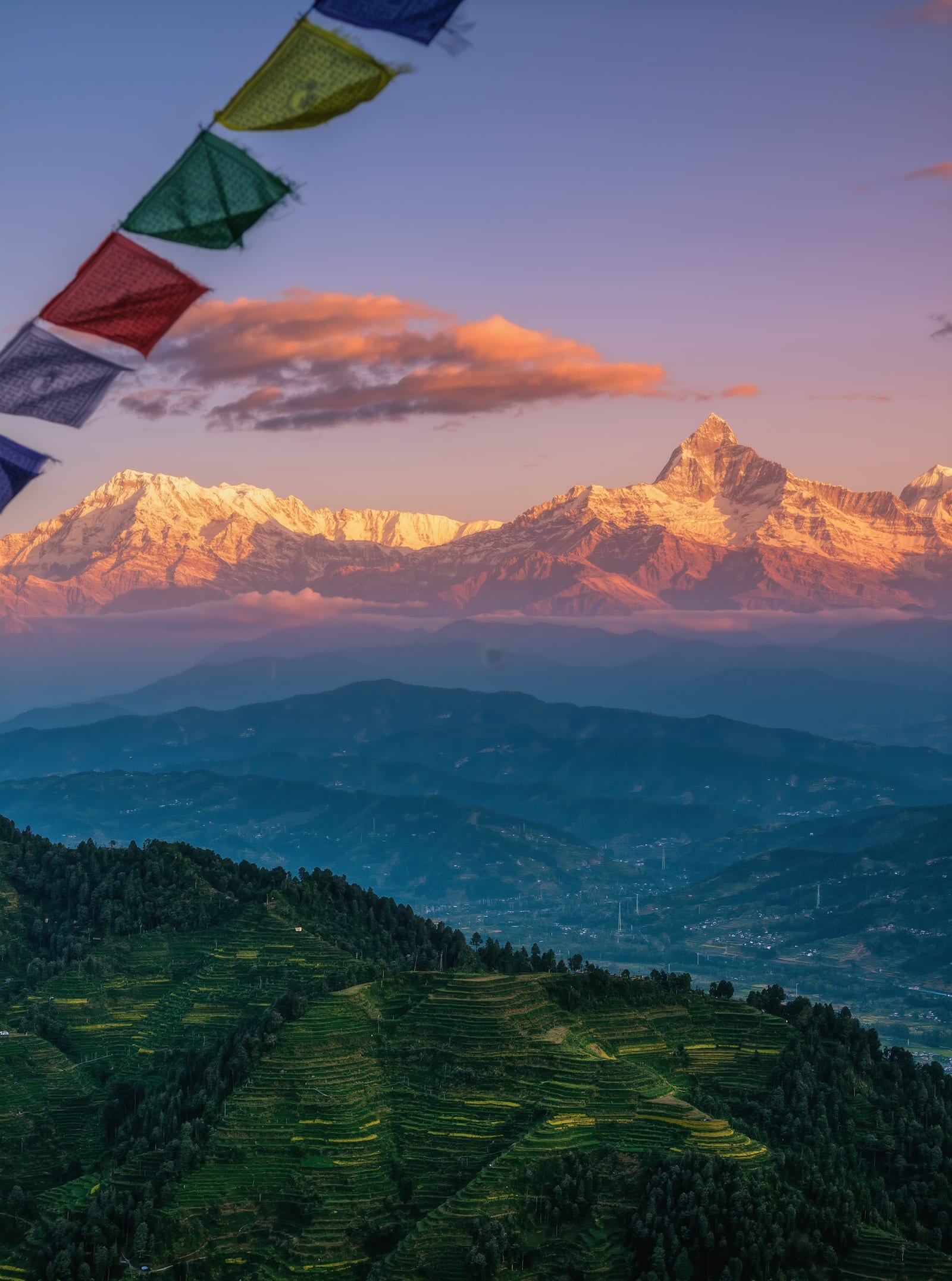 Prayer flags strung above the Himalaya at dawn, terraced hills below the snow line